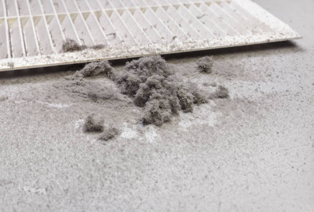 Best Emergency Air Duct Cleaning  in Agoura Hills, CA