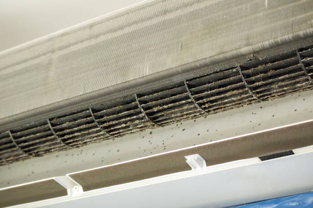 Best Dryer Vent Cleaning Services  in Agoura Hills, CA